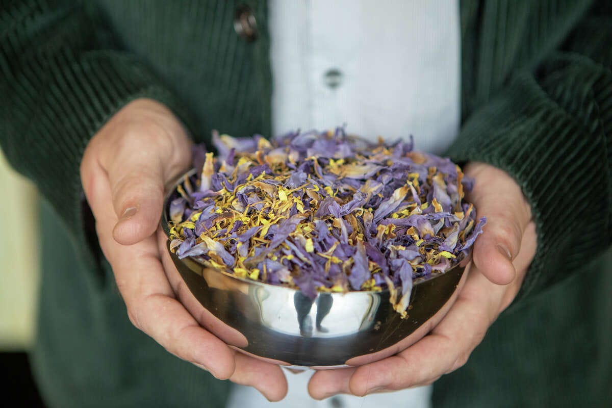 Benjamin Manton is the owner of Professor Seagull's Smartshop holds a bowl of Egyptian blue lotus in San Francisco on May 19, 2022. The shop specializes in obscure and legal psychedelics.