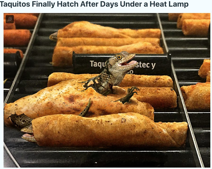 Taquitos Finally Hatch After Days Under A Heat Lamp