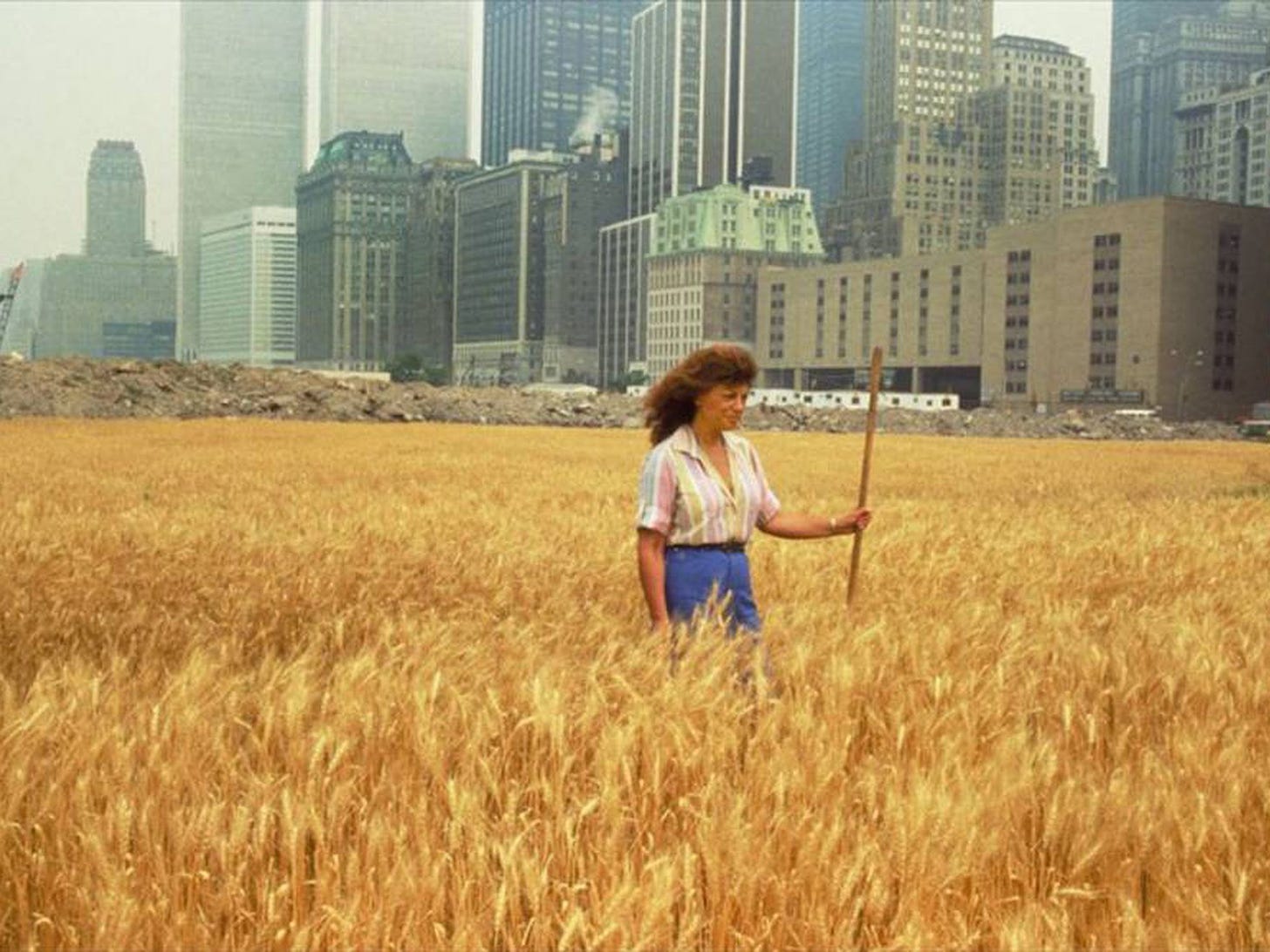 Un campo de trigo en Manhattan | Del tirador a la ciudad ...