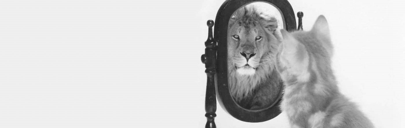 cat-looking-in-mirror-1400x6811 - Richard Hughes-Jones