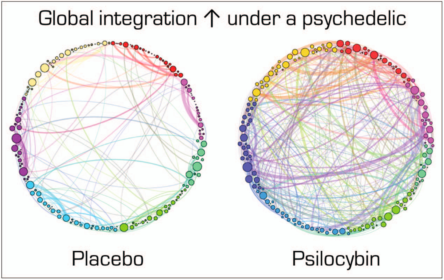 The Biology of Psychedelics: Part II - by Tyler Quigley