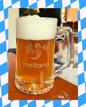 Meltano Beer Stein
