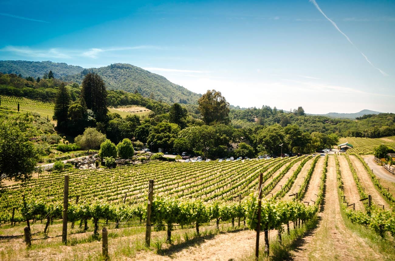 Sonoma wine region - Decanter