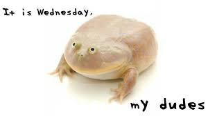 Photo of a pinky-grey Budgett's frog with the words "It is Wednesday," above and "my dudes" below, in a. font that mimics messy printing.