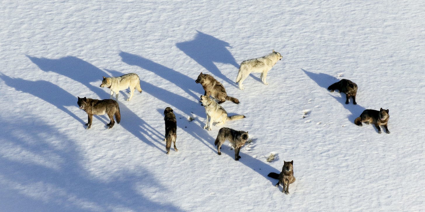 junction-butte-pack