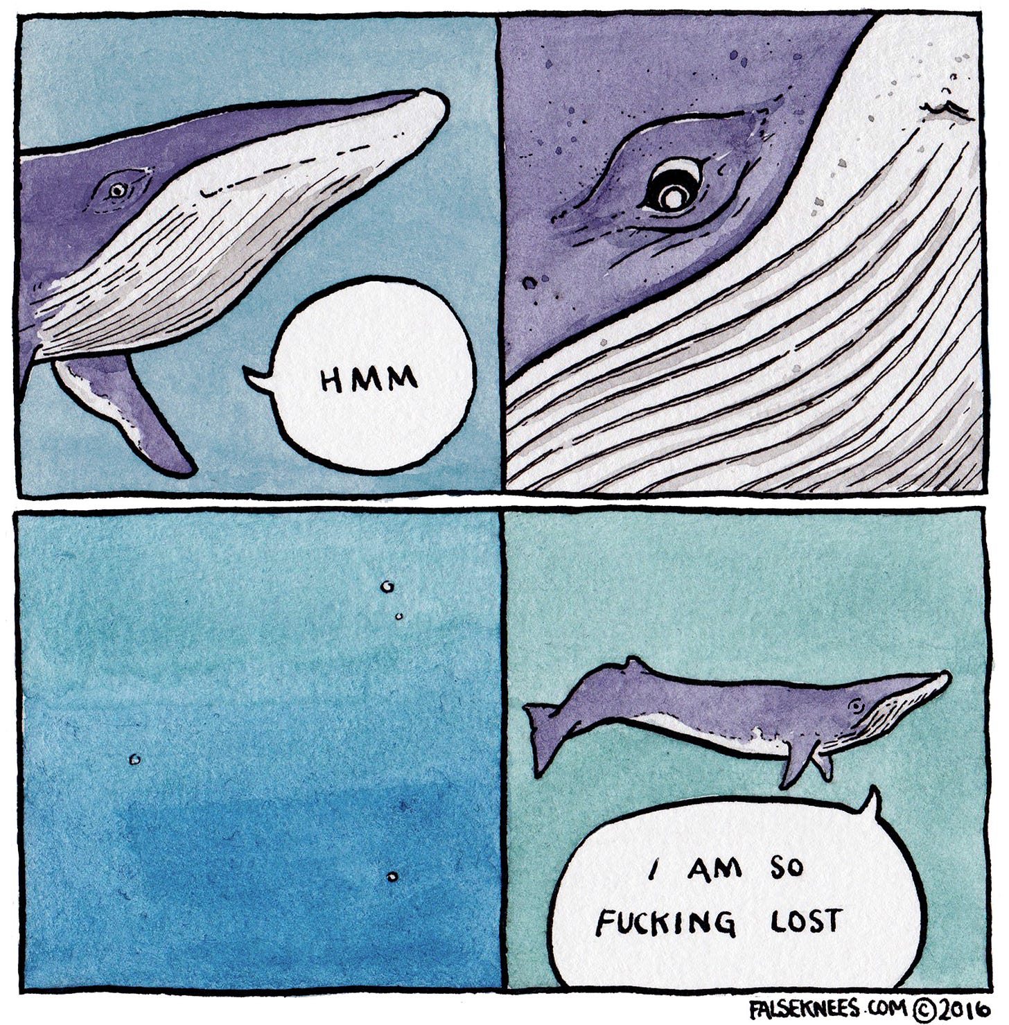 Tirinha ilustrado em que uma baleia jubarte, no primeiro quadro diz "hmmm". No segundo quadro, um close em seus olhos. No terceiro quadro, apenas a vastidão do oceano. Por fim, a baleia diz: "i'm so fucking lost"