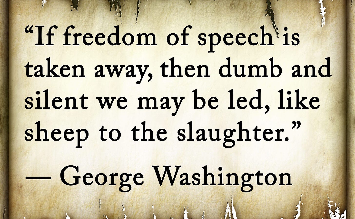 Freedom of Speech George Washington