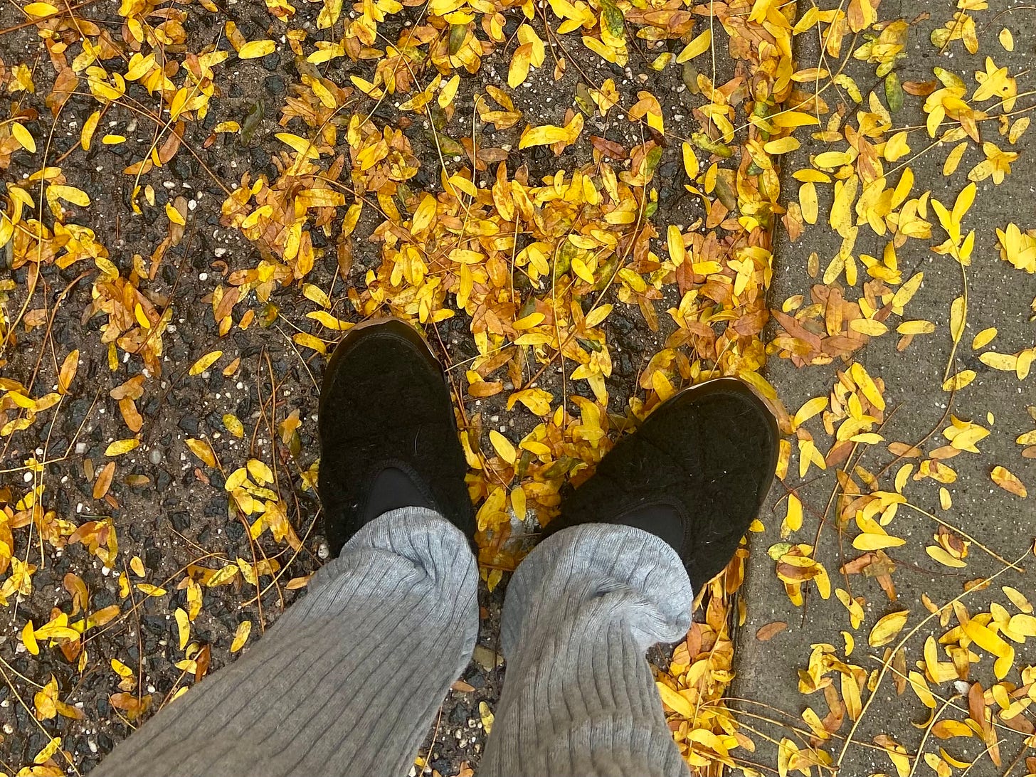 Black, fleece slipper-like shoes standing on pavement covered by fallen leaves. 