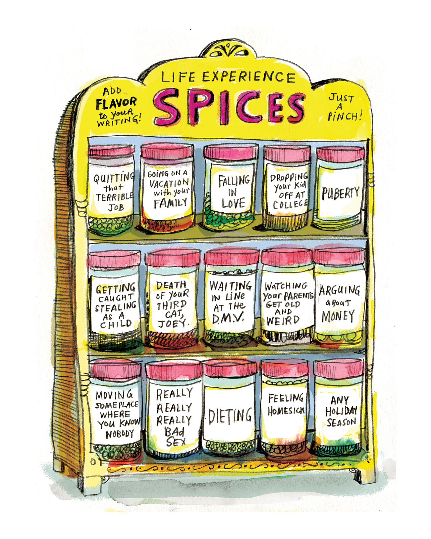 Illustration of a spice rack. The spices are labelled with life experiences such as puberty, falling in love, and quitting that terrible job
