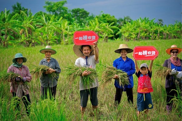 China&#39;s platform Pinduoduo spearheads farm-to-table push with online  matching