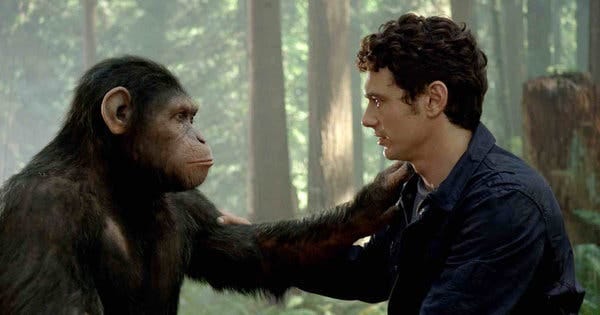 Rise of the Planet of the Apes' Stars James Franco - Review - The New York  Times