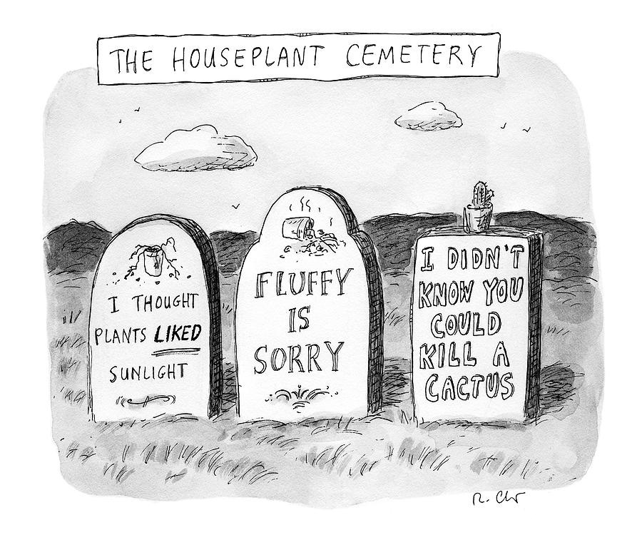 The Houseplant Cemetery
