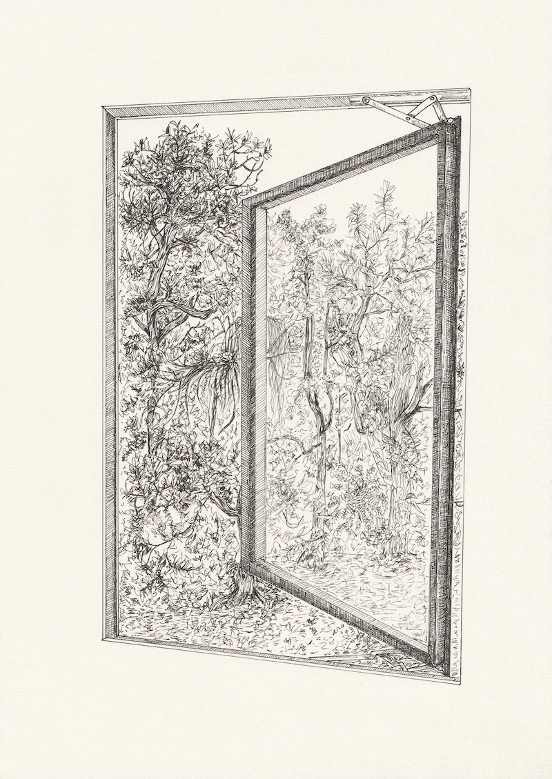 image: a photo of my line drawing, of trees seen from inside of a window.