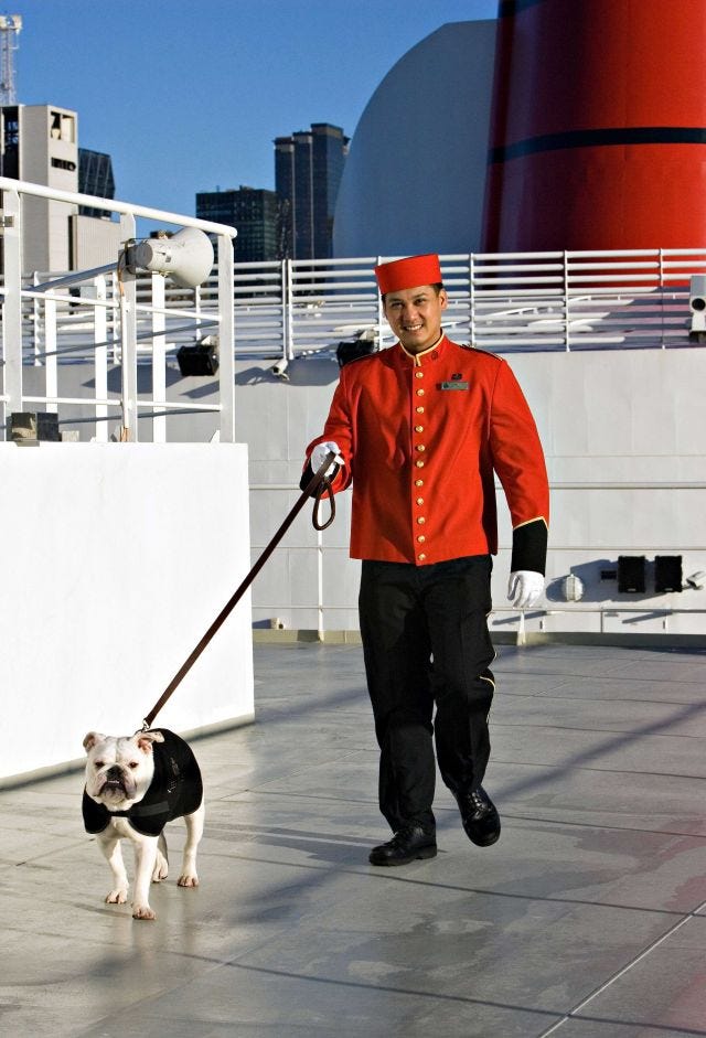 Dog aboard Queen Mary 2