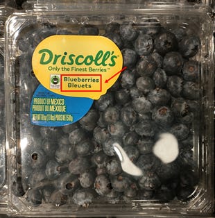 carton of blueberries, labeled in both english and french