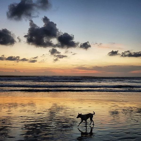 Sunset walk in Bali.