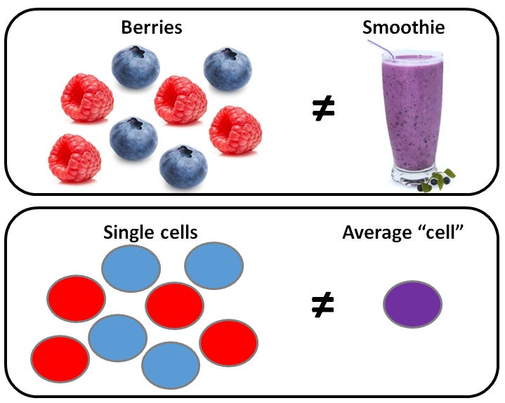 Single_Cells_vs_Average_Cell.PNG