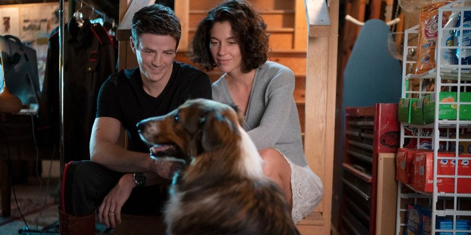 Rescued By Ruby Review: Grant Gustin Leads Earnest & Overly Sappy Dog Flick