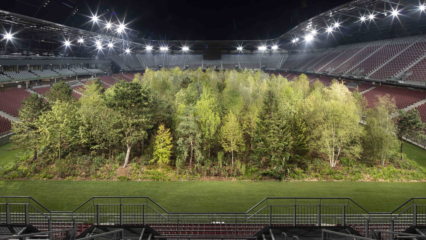 Forest grows in the middle of an Austrian football stadium | CNN Travel