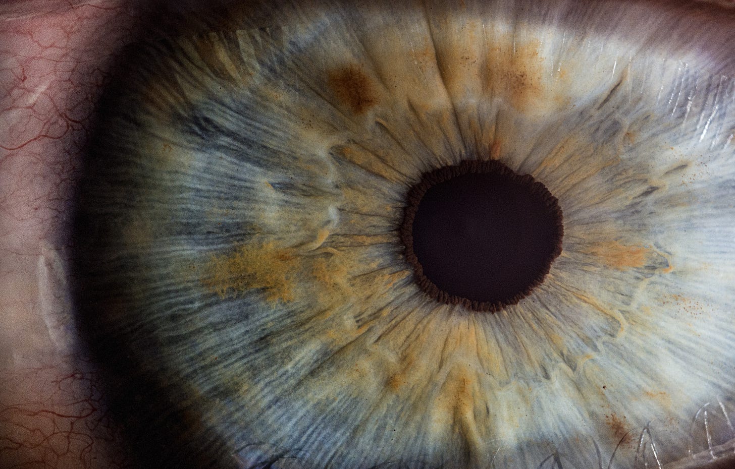 Extreme close up of an eye, the pupil and the iris. Blue/white/orange.
