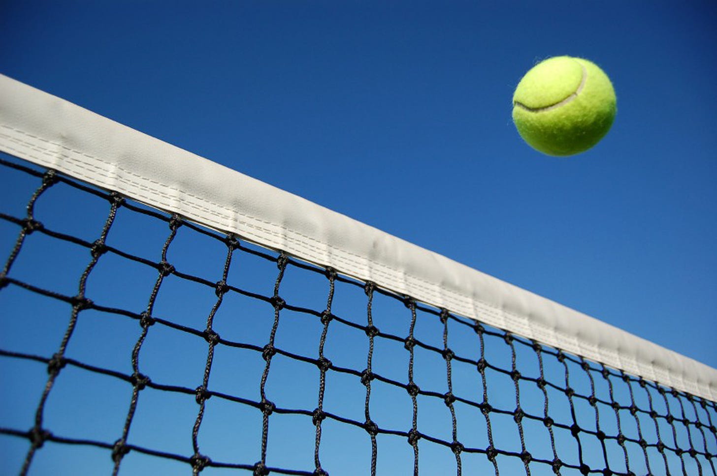 tennis-ball_net.jpg