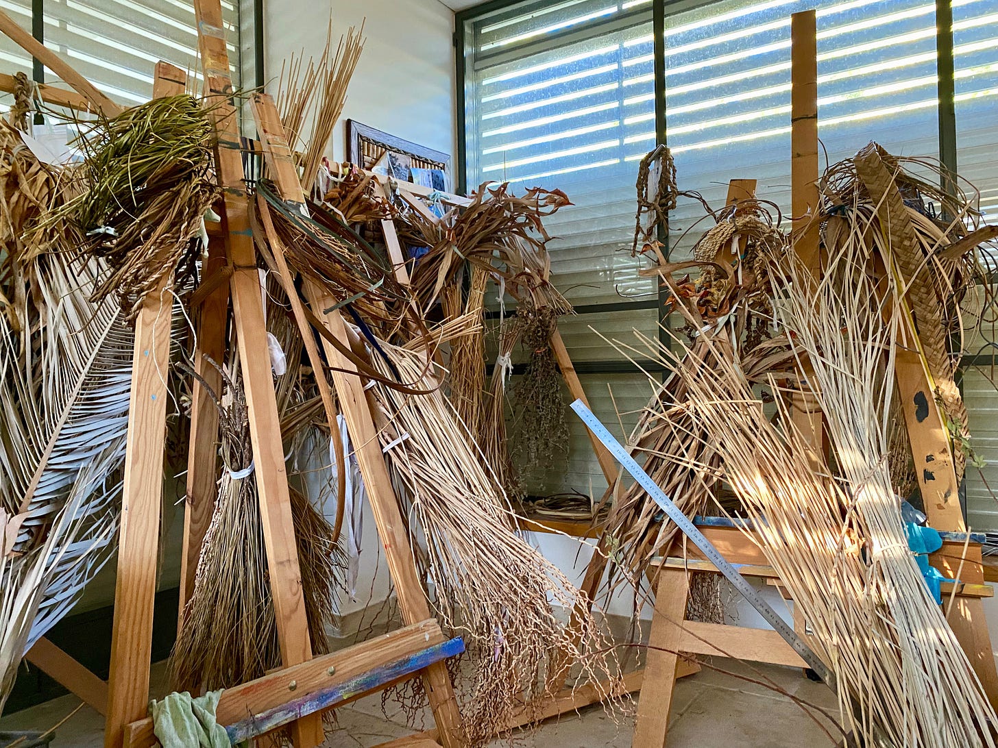 Branches and leaves drying for basketry