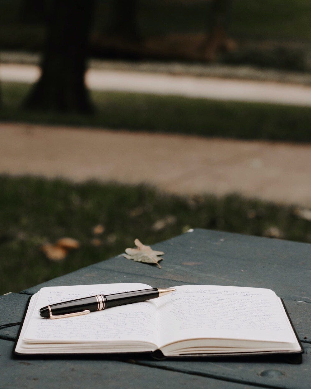 An pen laying on an open notebook on a picnic table in a park.