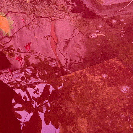 An animation of a koi swimming circles in a pond that reflects the trees above. The koi comes to a stop, then jerks back and forth trying to jump out, and then returns to its circle. The images are from actual photos of a swimming koi, with the water tinted red and the koi sketched out in orange in Photoshop. The koi's name is Hoover.