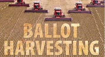Image result for harvesting ballots