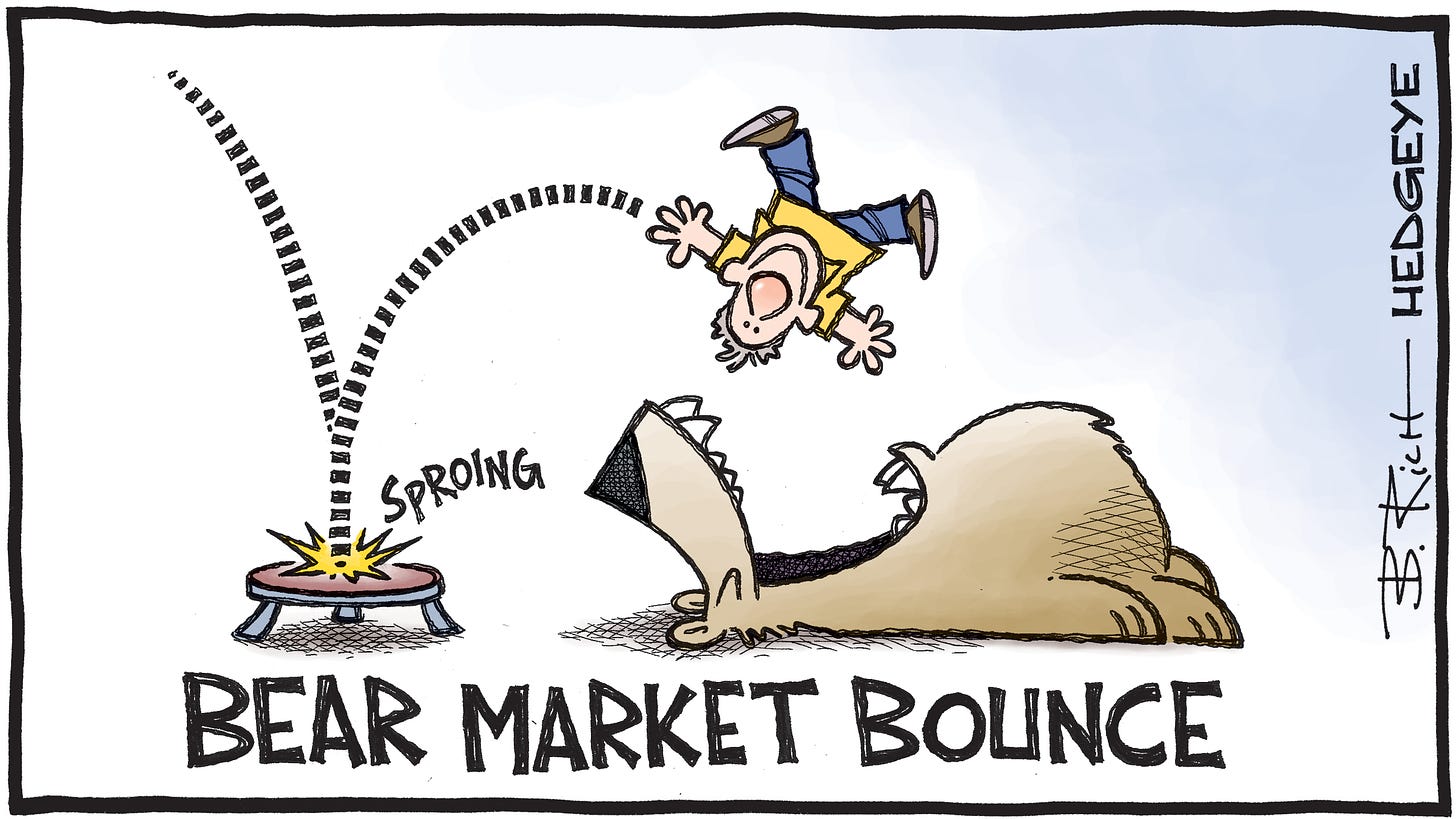 Cartoon of the Day: Bear Market Bounce