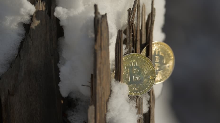 A cryptocurrency price crash and the onset of a new so-called "crypto winter" has left many companies in the industry facing a liquidity crisis.