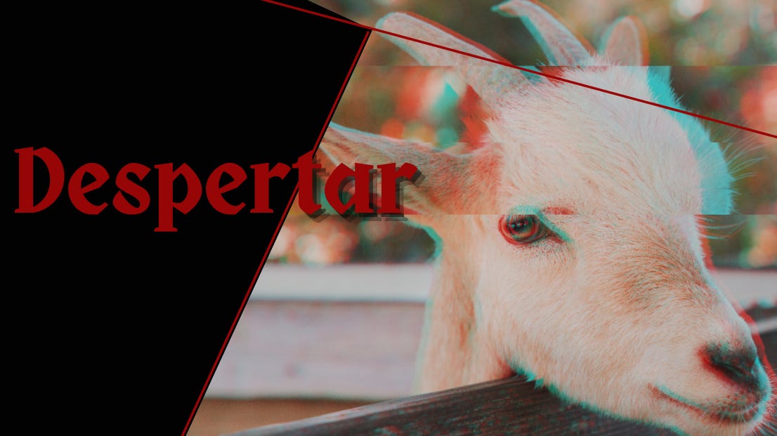 Imagem dividida em duas parte. Na direita fundo preto com letreiro vermelho escrito "Despertar". Do lado direito, a foto da cabeça de uma cabra branca olhando de lado para a câmera.