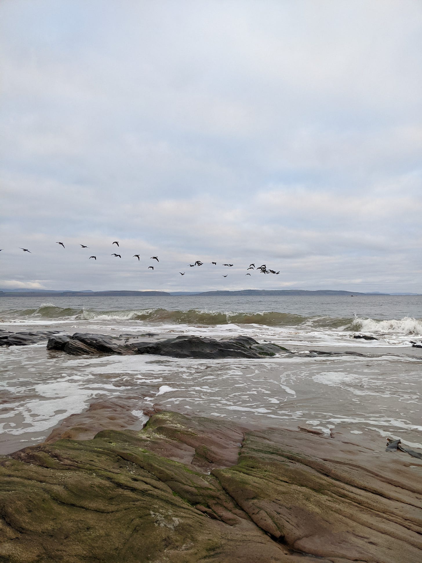 A flock of geese fly above the firth with a wave in the foreground and hills on the horizon