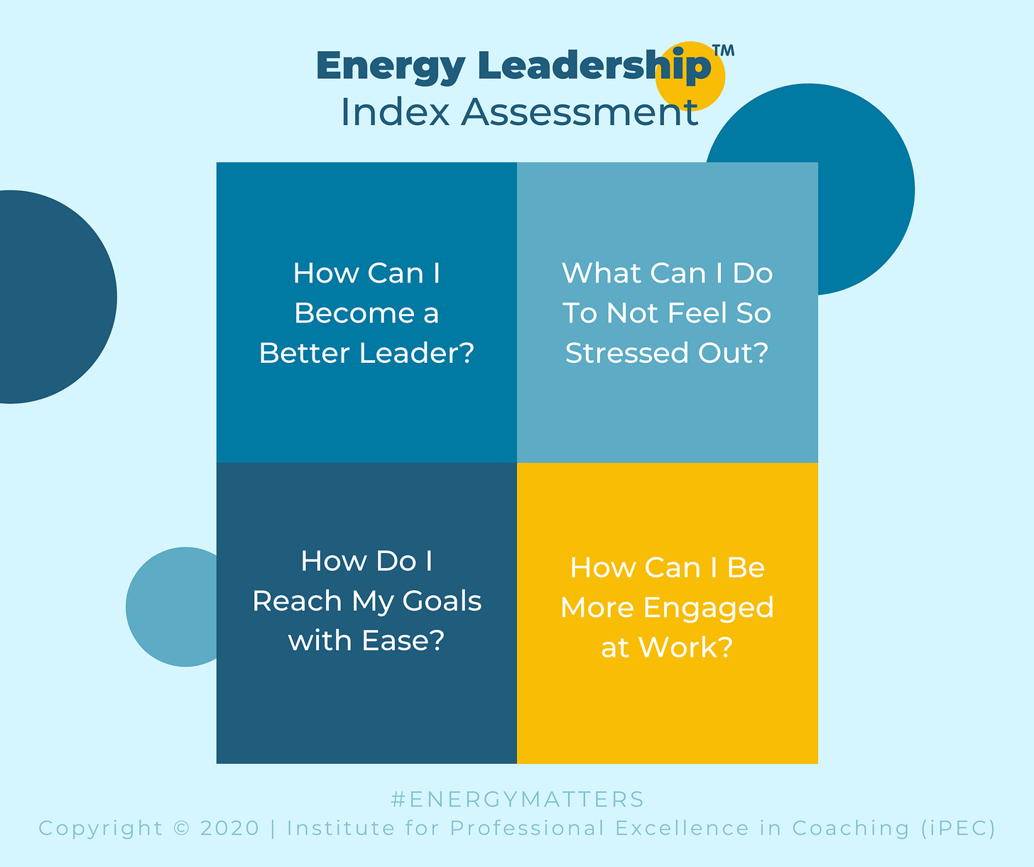 Energy Leadership™ Index Assessment — PassionEmpowered