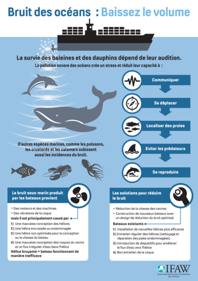 infographie - Le bruit des océans | IFAW