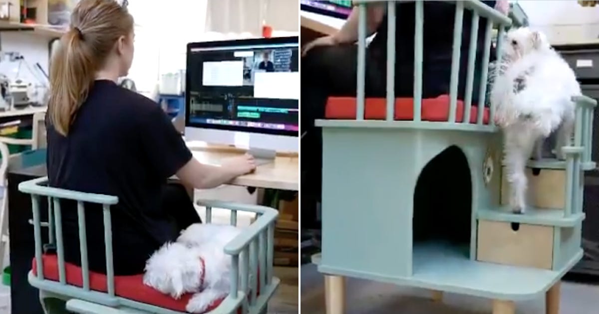 This ‘companion chair’ for needy pets went wildly viral because it’s just so clever