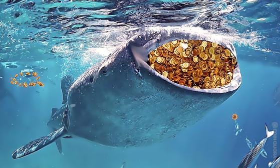 Whales Just Shifted $333M Worth of 7K Bitcoin (BTC) By CoinQuora