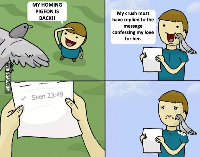 My homing pigeon is back! - Funny | Funny memes, Funny pictures, Funny meme  pictures