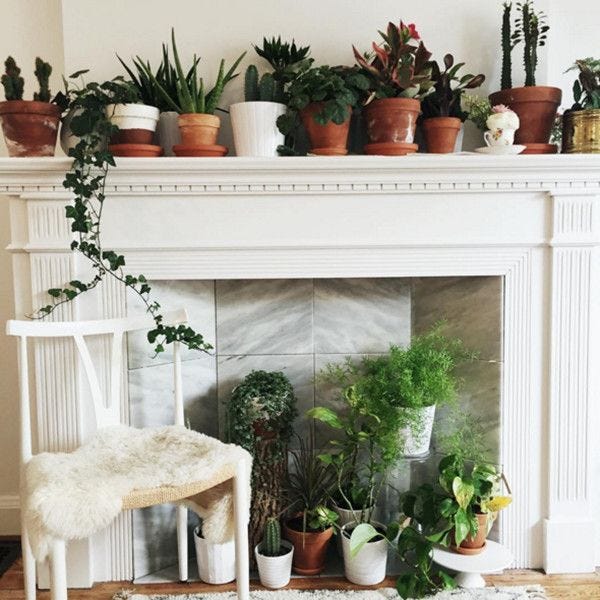 Plant Party | Home decor, Decor, Fireplace decor