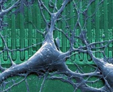 Neurochips - Human Enhancement: Brain Chips