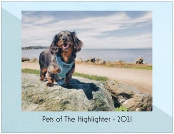 Yoshi, who belongs to VIP Summer, adorns the cover of this year’s prized Pets of The Highlighter calendar. Get yours today, before it’s too late! highlighter.cc/store
