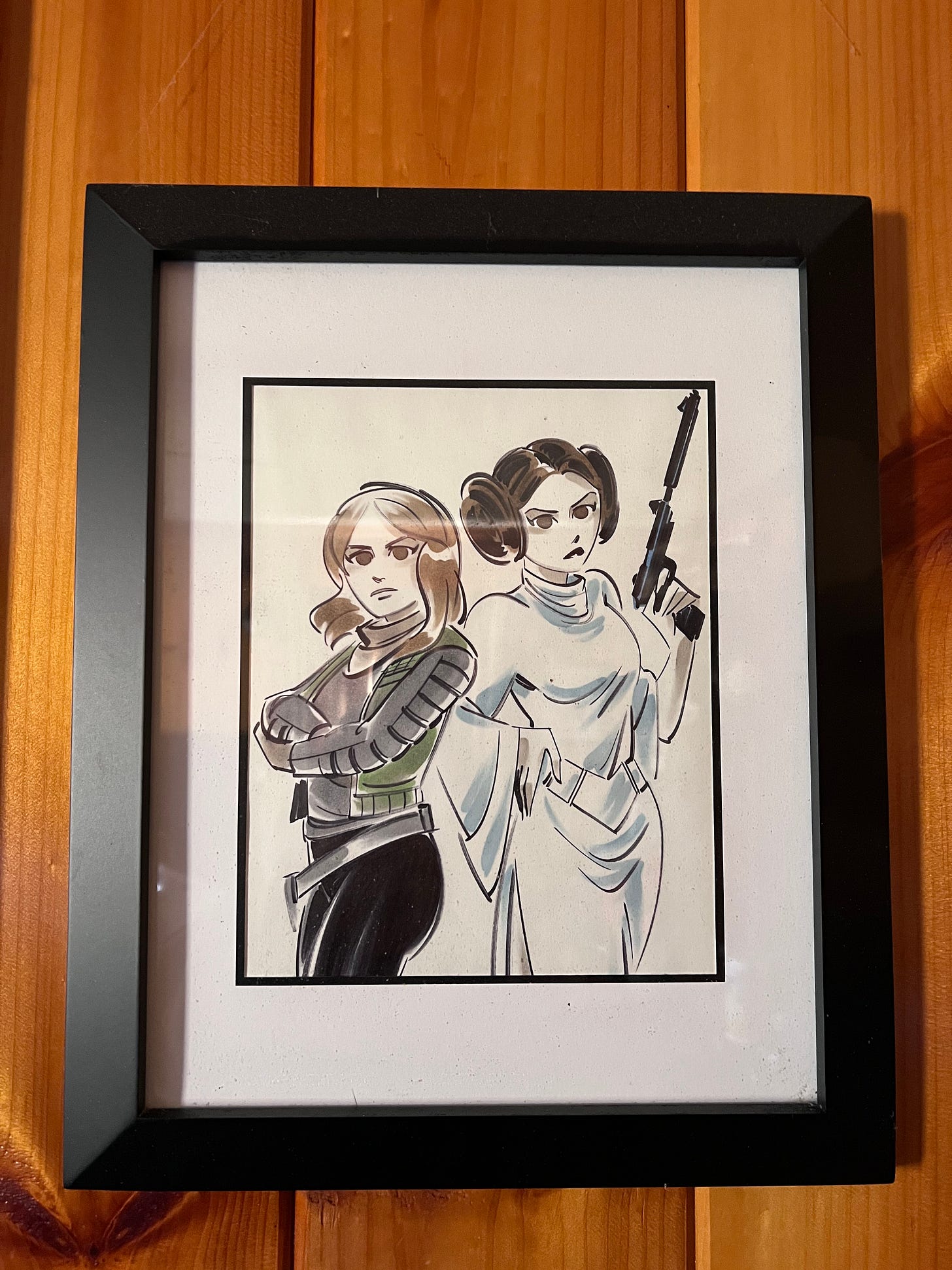 Photo of an illustration of Jyn Erso standing back-to-back with Leia