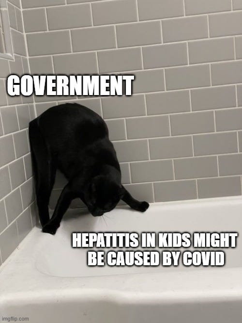 Photo of a cat crouched up in the corner tile of a bathtub trying not to fall in. Caption over the cat reads government, and then inside the tub the caption reads hepatitis in kids might be caused by covid