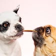 Want More Loyal Customers? Offer a Community, Not Rewards.