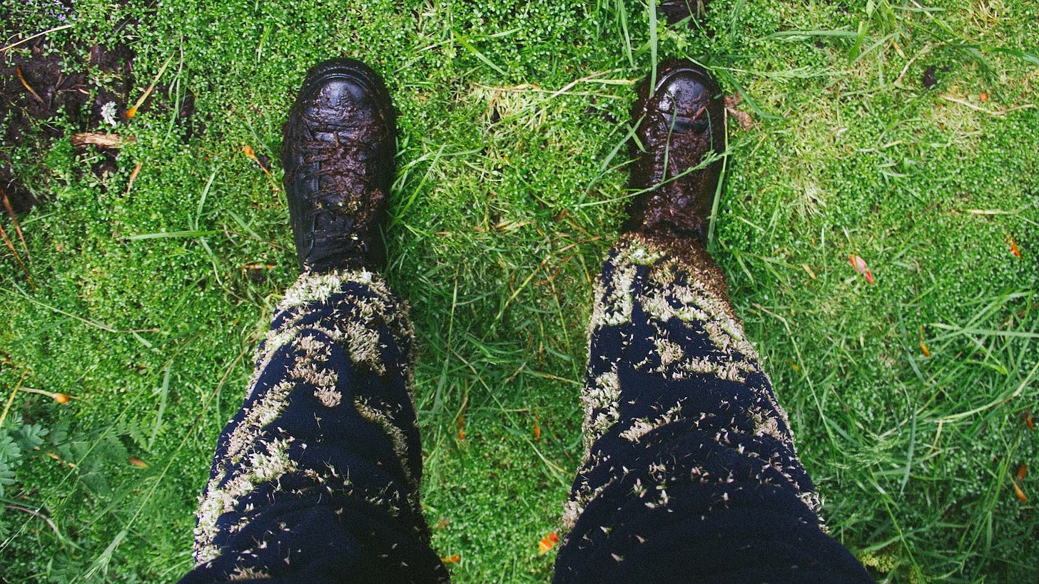 A photograph looking down on a pair of legs. They're wearing navy trackpants, made in a fluffy polar fleece, which is covered from the ankle up to the knee in tiny seedpods. The shoes are black low-top Converse, which are covered in mud and debris. They're standing on marshy green plants.