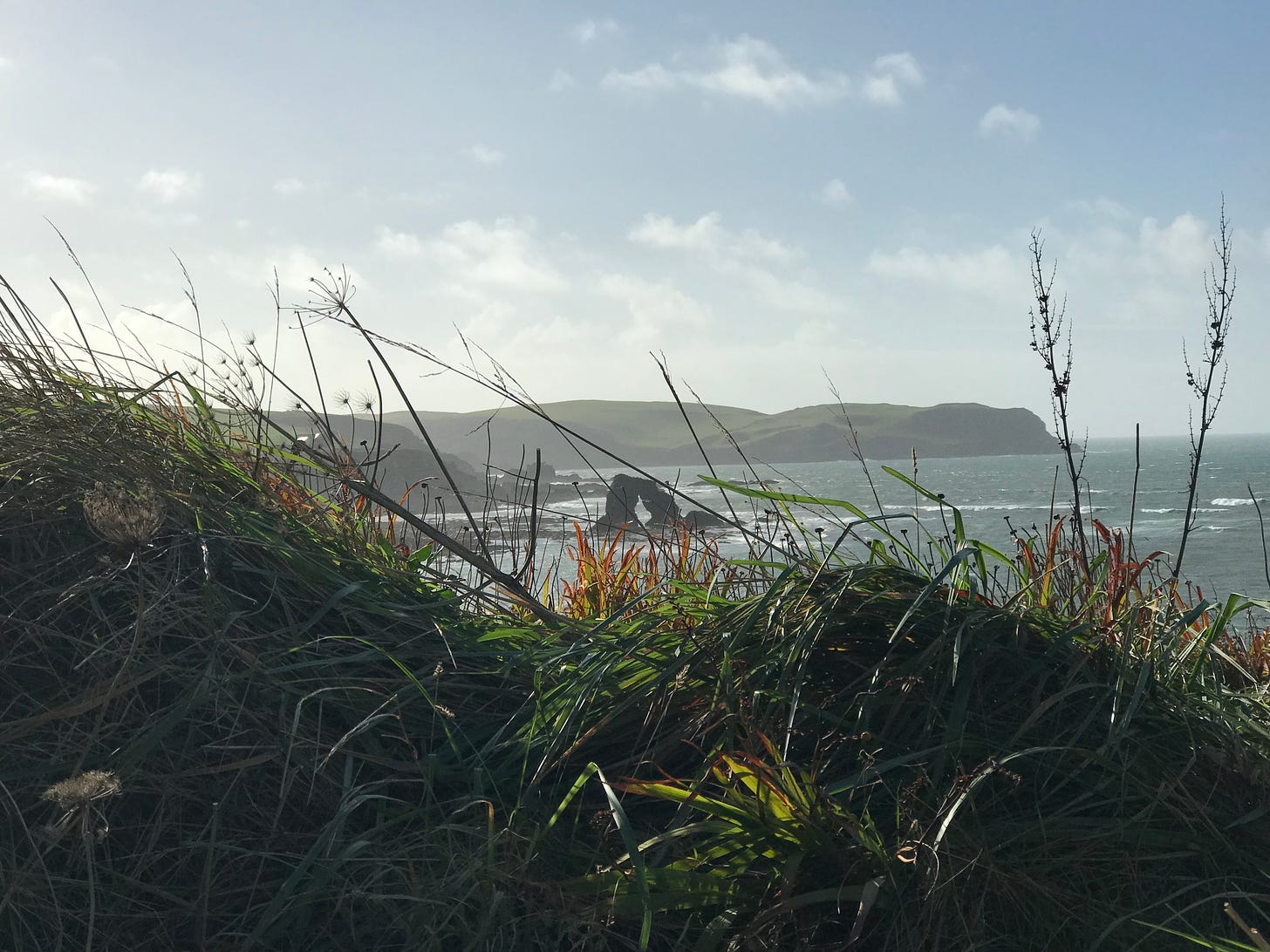 A photo from the coastal path: an arched rock off the coast, with calm sea behind, in the foreground, sea grass and flowers