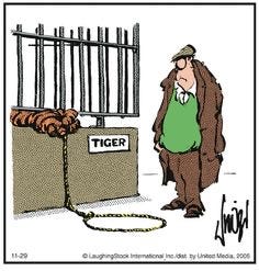 A tiger at a zoo sets a trap for a man.