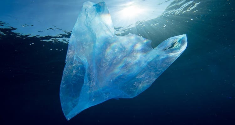 Plastic Bag Floats In Ocean