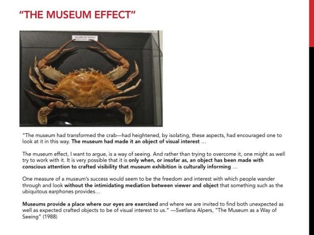 museum effect