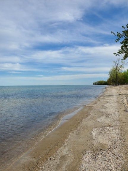 The long shore view along the western basin of Lake Erie. May 17, 2022. Photo by author.